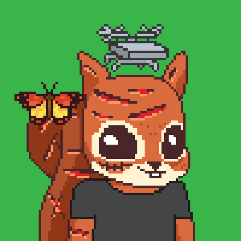 Pixel Squirrels #1556